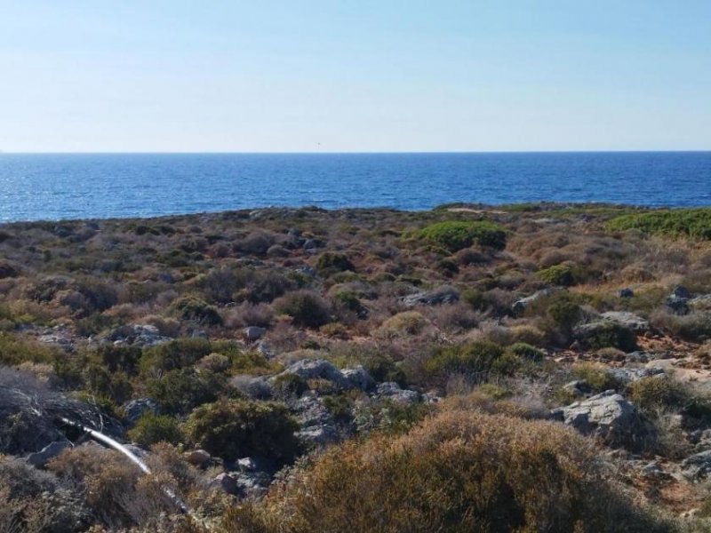 Stavros Kreta, Stavros: Küstengrundstücke mit Baugenehmigung und Meerblick zu verkaufen Grundstück kaufen